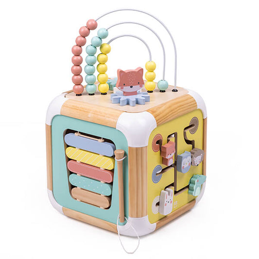 Cubo de actividades Wild